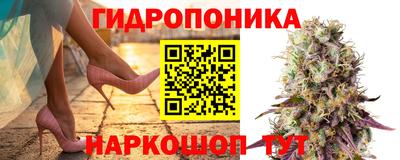 герыч Гатчина