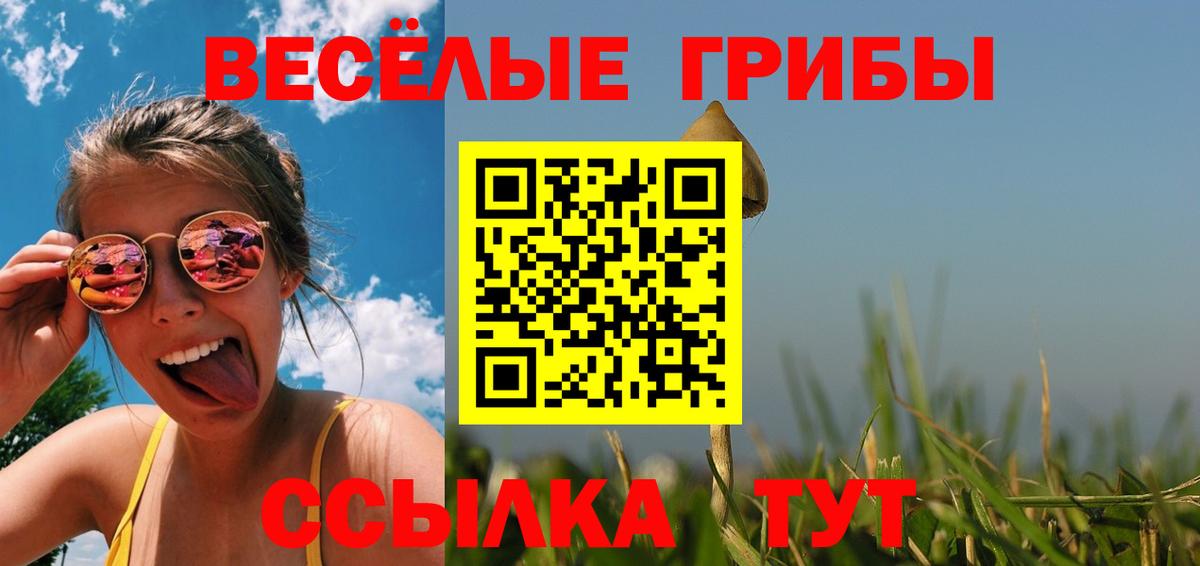 Псилоцибиновые грибы мухоморы Мурманск