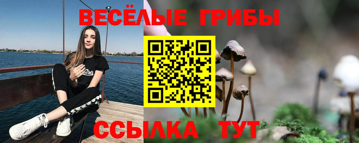 Галлюциногенные грибы Cubensis  Галлюциногенные грибы мухоморы  Мурманск  Вход с VPN 